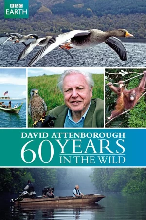 60 Năm Trong Hoang Dã-Attenborough: 60 Years In The Wild