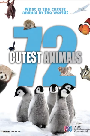 Phim 72 loài động vật dễ thương nhất - 72 Cutest Animals Phimmoichill Vietsub 2016 Phim Úc