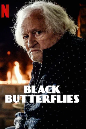 Bươm bướm đen-Black Butterflies