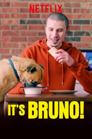 Chú chó Bruno - It's Bruno!