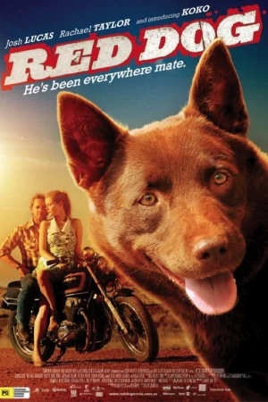 Chú Chó Đỏ-Red Dog