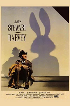 Chú Thỏ Harvey - Harvey