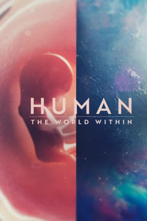 Con người: Thế giới bên trong cơ thể