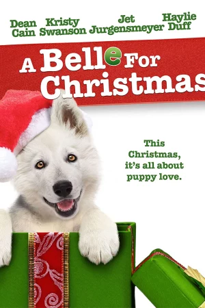Cún Belle và Giáng sinh