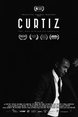 Poster of Curtiz