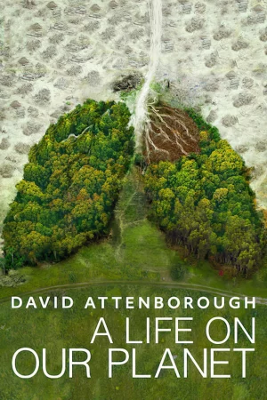David Attenborough: Một cuộc đời trên Trái Đất-David Attenborough: A Life on Our Planet