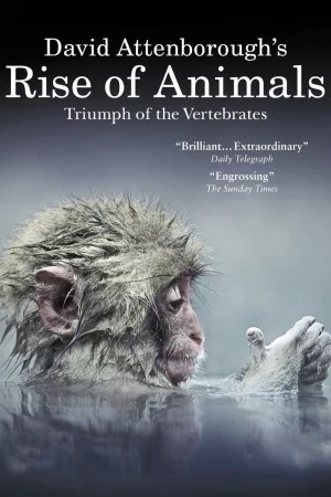 David Attenboroughs Rise of Animals: Triumph of the Vertebrates-David Attenborough's Rise of Animals: Triumph of the Vertebrates