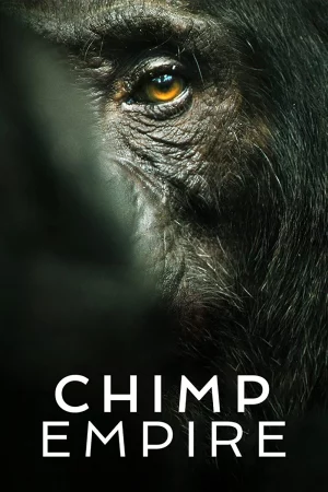 Đế chế tinh tinh-Chimp Empire
