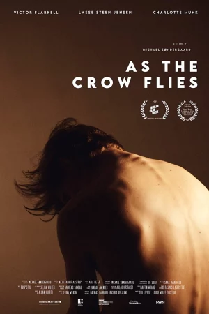 Đôi cánh tham vọng-As the Crow Flies