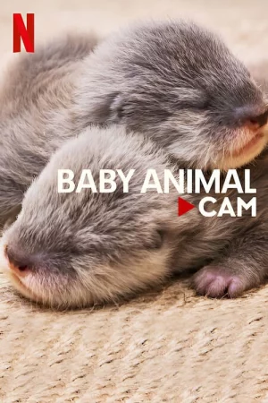 Động vật bé cưng trên camera-Baby Animal Cam