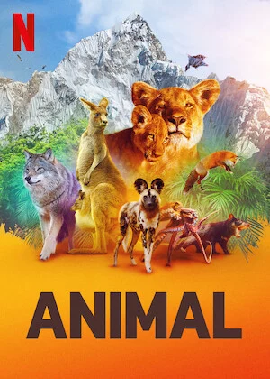 Động vật (Phần 1)-Animal (Season 1)
