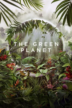 Hành Tinh Xanh - The Green Planet