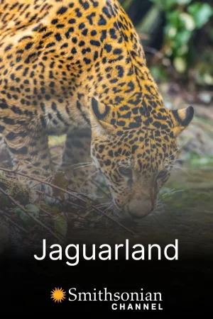 Jaguarland - Jaguarland