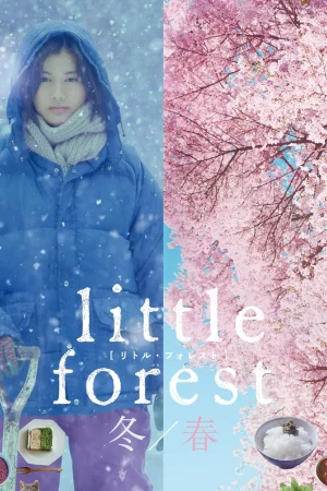 Poster of Little Forest: Winter/Spring