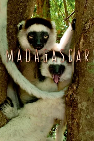 Madagascar 2011 - Madagascar