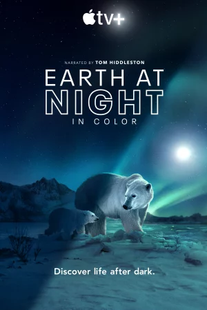 Màn đêm trên Trái Đất: Thước phim trong bóng tối-Night on Earth: Shot in the Dark