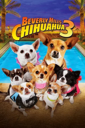 Những Chú Chó Chihuahua 3-Beverly Hills Chihuahua 3: Viva la Fiesta!