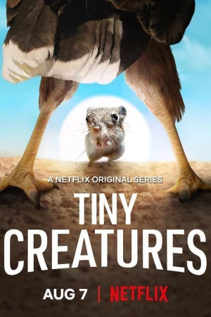 Những sinh vật tí hon-Tiny Creatures
