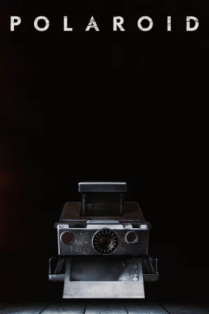 Polaroid - Polaroid