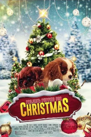 Phim Quà Giáng Sinh Bất Ngờ - Project: Puppies for Christmas Phimmoichill Vietsub 2019 Phim Mỹ