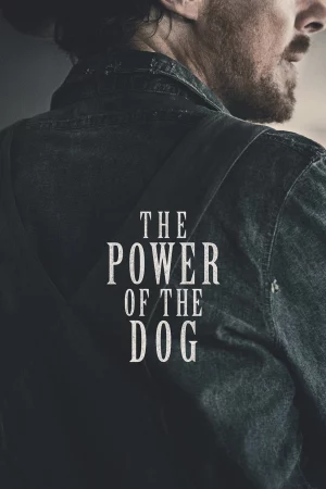 Sức Mạnh Của Loài Chó-The Power of the Dog