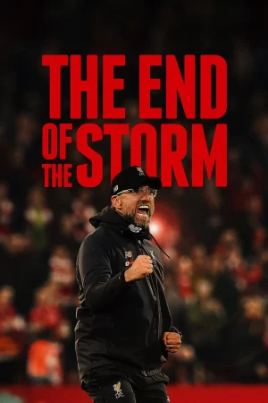 The End of the Storm-The End of the Storm