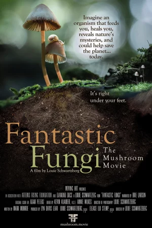 Phim Thế giới nấm diệu kỳ - Fantastic Fungi Phimmoichill Vietsub 2019 Phim Mỹ