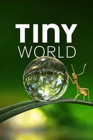 Thế Giới Siêu Nhỏ (Phần 1)-Tiny World (Season 1)