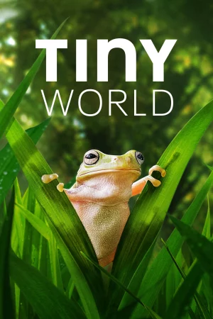 Thế Giới Siêu Nhỏ (Phần 2) - Tiny World (Season 2)