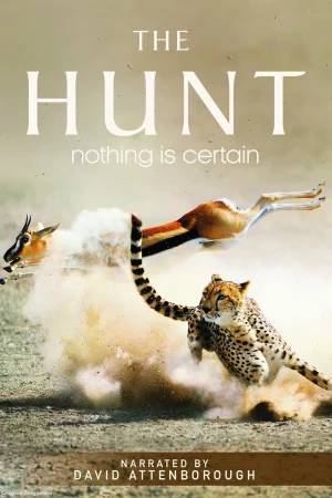 Poster of The Hunt