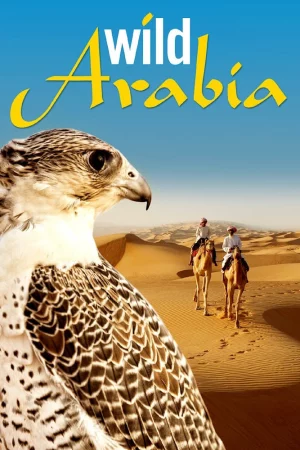 Thiên Nhiên Hoang Dã Ả Rập - Wild Arabia