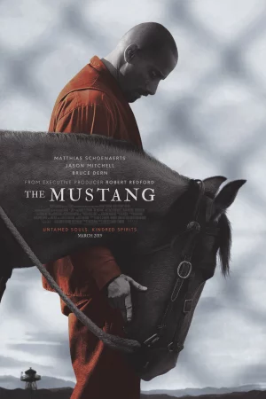 Thuần Hóa - The Mustang