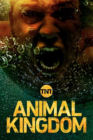 Vương quốc động vật (Phần 3) - Animal Kingdom (Season 3)