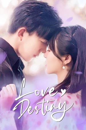 Yêu Em Là Định Mệnh - Love Destiny