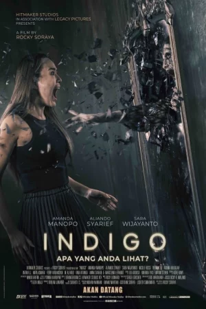 Indigo - 
