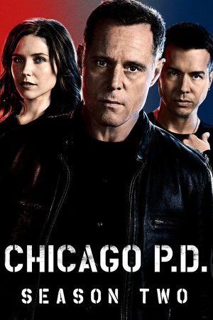 Sở Cảnh Sát Chicago ( 2)-Chicago PD (Season 2)