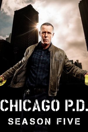 Sở Cảnh Sát Chicago ( 5)-Chicago PD (Season 5)