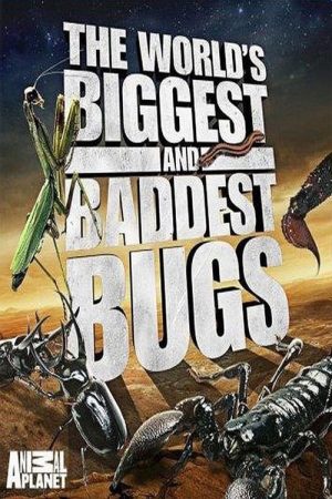 Thế Giới Côn Trùng Khổng Lồ và Nguy Hiểm-The Worlds Biggest and Baddest Bugs