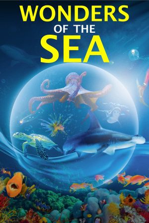 Kỳ Quan Của Đại Dương-Wonders of the Sea 3D