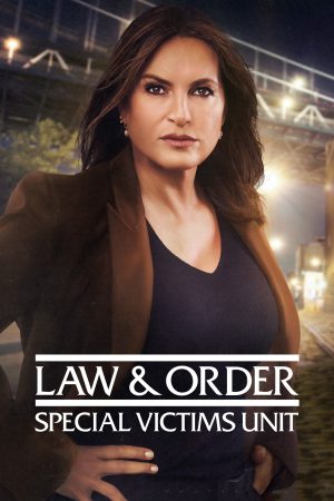 Luật Pháp Và Trật Tự Nạn Nhân Đặc Biệt ( 22)-Law Order Special Victims Unit (Season 22)