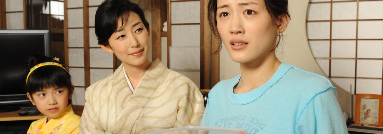 Phim Hotaru Tia sáng trong đời ( 2) - Hotaru no Hikari Its Only A Little Light In My Life (Season 2) PhimChill Vietsub (2010)