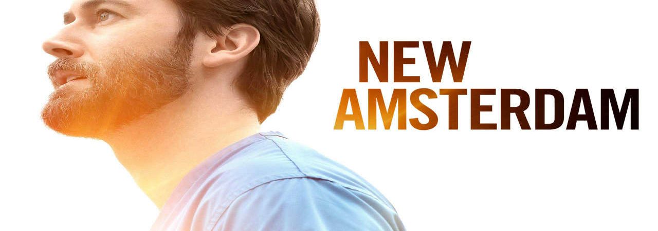 Poster of New Amsterdam ( 3)