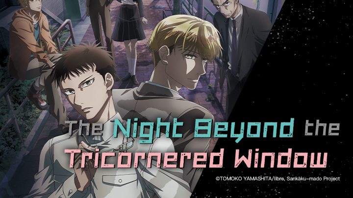 Phim Bên ngoài khung cửa tam giác là đêm tối - The Night Beyond the Tricornered Window PhimChill Vietsub (2021)