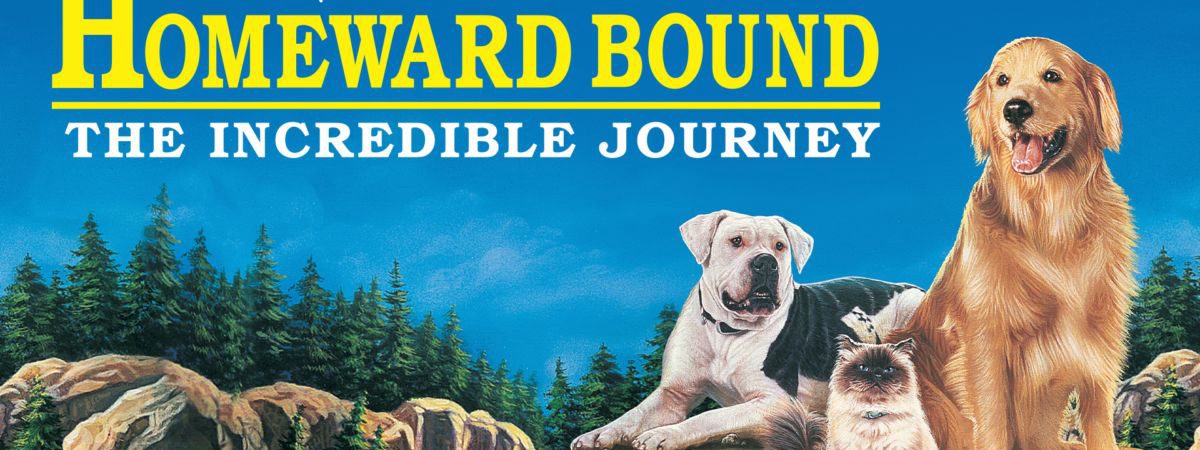 Poster of Homeward Bound The Incredible Journey