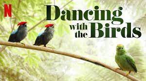 Phim Vũ điệu của loài chim - Dancing with the Birds Phimmoichill Vietsub 2019 Phim Mỹ