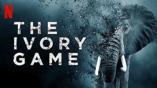 Phim Cuộc chiến ngà voi - The Ivory Game Phimmoichill Vietsub 2016 Phim Mỹ