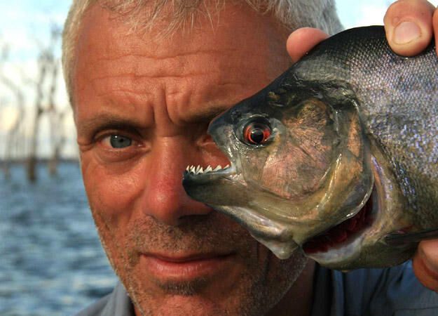 Phim Thủy Quái ( 1) - River Monsters (Season 1) PhimChill Vietsub (2009)