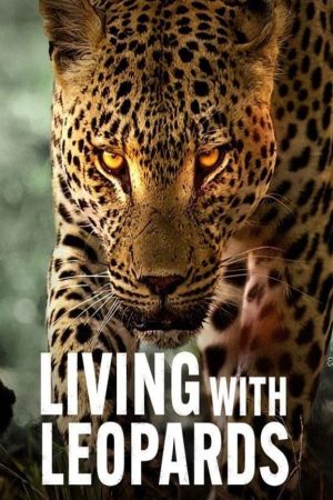 Phim Sống cùng báo hoa - Living with Leopards PhimChill Vietsub (2024)