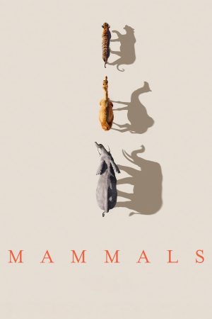 Phim Mammals (2024) - Mammals PhimChill Vietsub (2024)