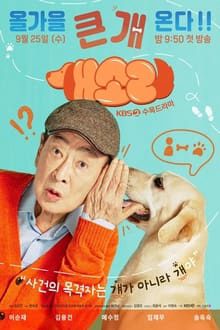 Phim Chú Chó Biết Tuốt - Dog Knows Everything PhimChill Vietsub (2024)